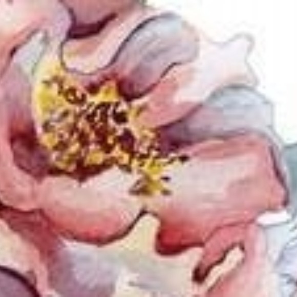 Only PLUS SIZES mostly aussie labels - Picture 1 of 6